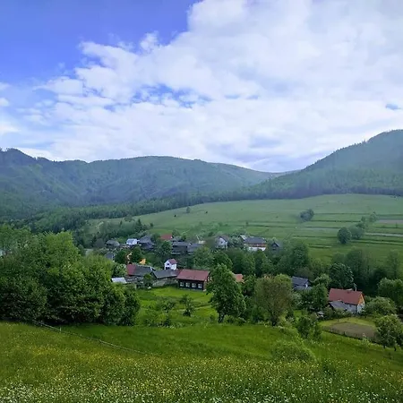 Dom wakacyjny зачаровані карпати, *