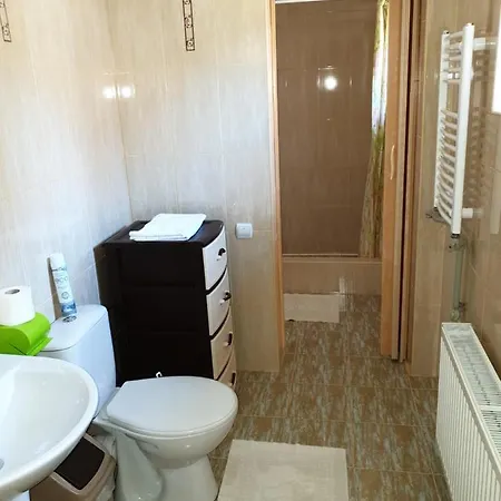 Holiday home зачаровані карпати,