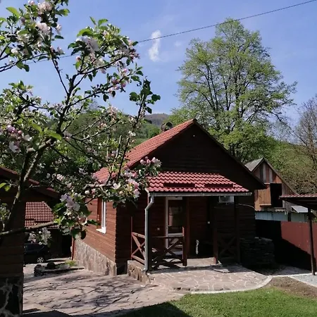 зачаровані карпати, Holiday home