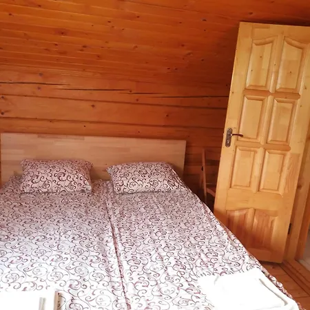 Holiday home зачаровані карпати,