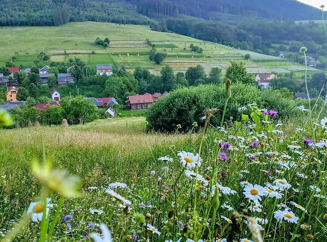 зачаровані карпати, Holiday home *