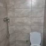 зачаровані карпати, * Volovets