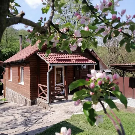 зачаровані карпати, Volovec