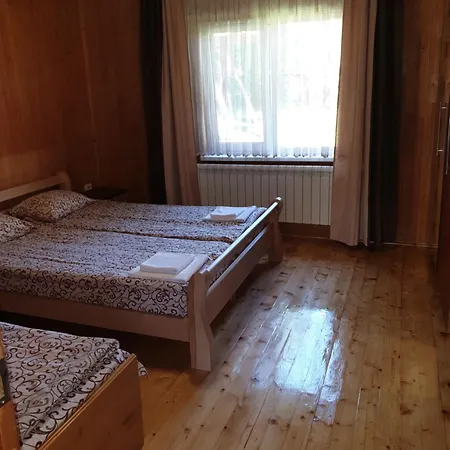 Prázdninový dům зачаровані карпати, *