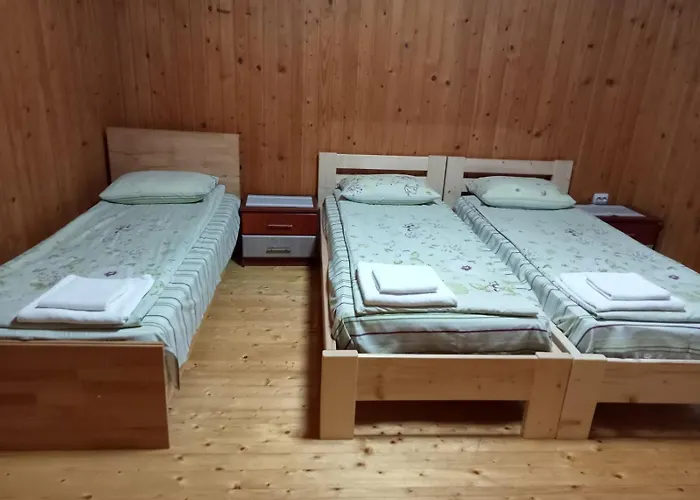 別荘 зачаровані карпати, *
