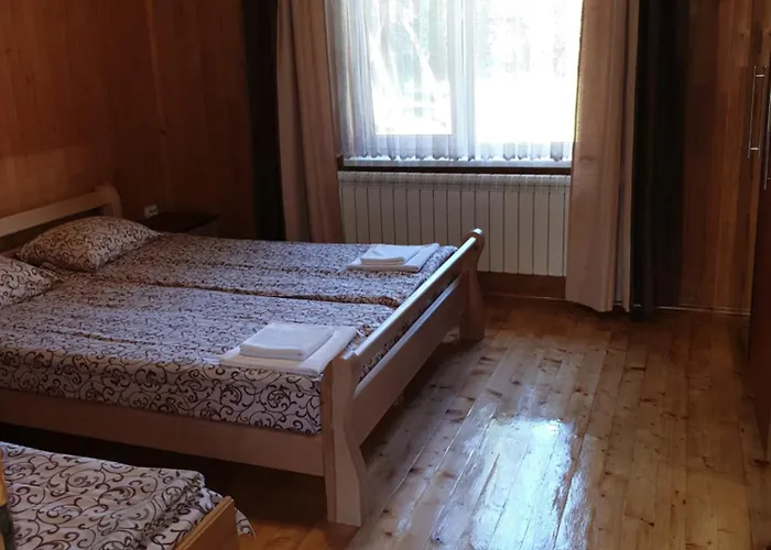 別荘 зачаровані карпати, *