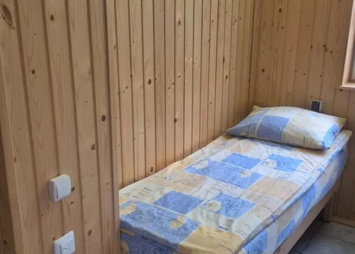 зачаровані карпати,